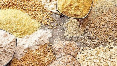 نهاده‌های دامی به اندازه مورد نیاز در سامانه بازارگاه توزیع نمی‌شود