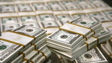 رشد ۷۷ درصدی میانگین معاملات روزانه پس از اجرای ارز تک‌نرخی