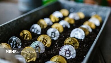 کمر بازار کریپتو شکست؛ ریزش سنگین  بیتکوین در یک روز خونین