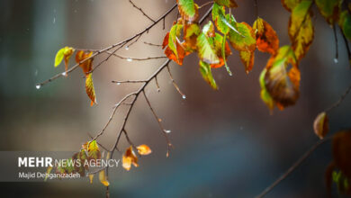 ورود سامانه بارشی جدید به کشور از روز سه‌شنبه؛ بازگشت زمستان