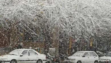 هشدار کاهش شدید دما در ۲۶ استان؛ بارش برف، باران و یخبندان در راه است