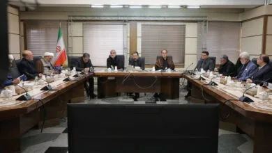 اعلام حمایت مجلس از وزارت صمت برای تأمین، تولید و توزیع کالاهای اساسی