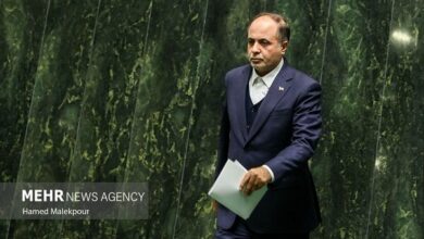 نوری قزلجه: هیچ تحریمی نمی‌تواند چرخه تولید غذا در کشور را متوقف کند